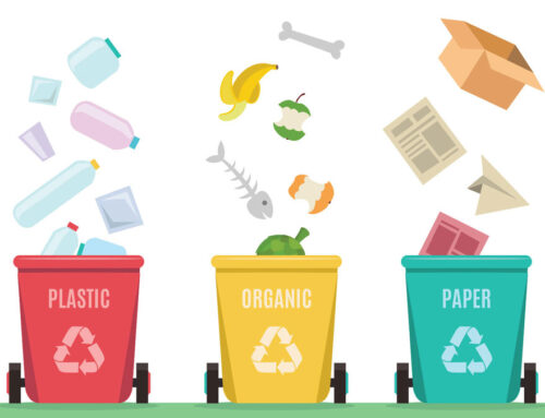 Tips on How to Increase Waste Management Efficiency for a Small Business or Corporate Office